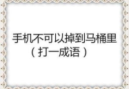 手机不可以掉到马桶里打一成语,成语巧解尴尬境遇”