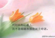 个性签名高质量句子,温暖心灵，启迪人生